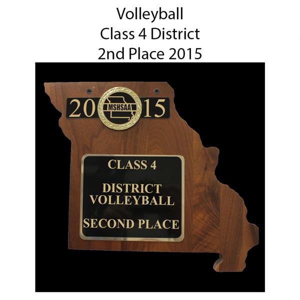 2015 volleyball district 4 2nd place 